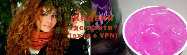 хмурый Бородино
