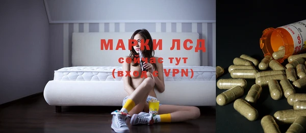 крисы Верея