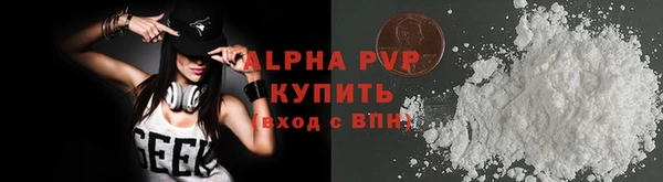 хмурый Бородино