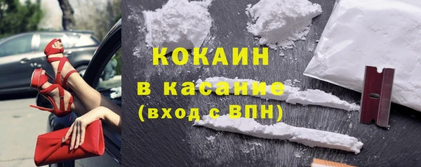 хмурый Бородино