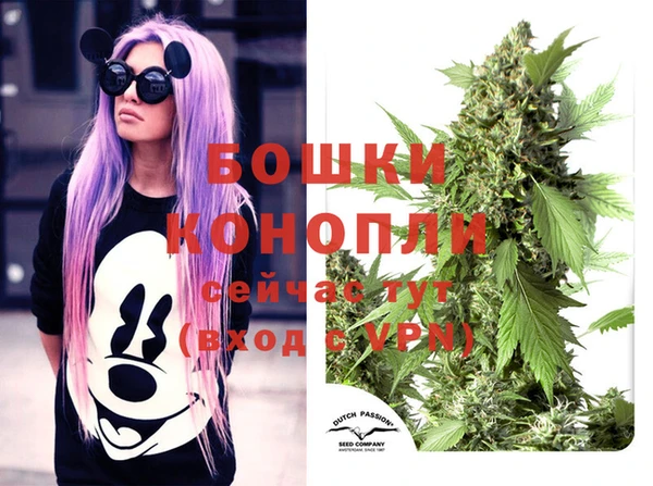 крисы Верея
