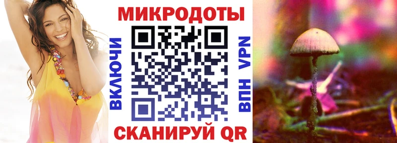 Псилоцибиновые грибы прущие грибы  kraken ССЫЛКА  Ессентуки 